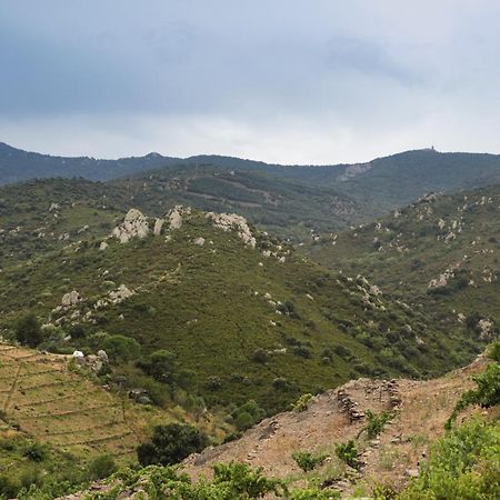 Gite Rez De Chaussee Entre Mer Et Montagne Collioure Eksteriør bilde