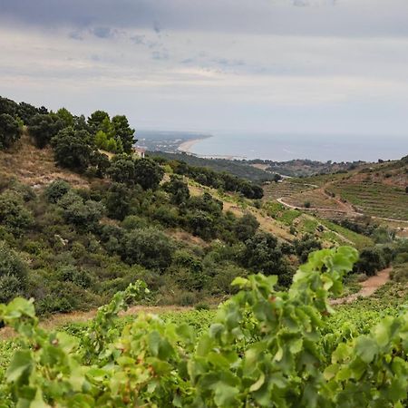 Gite Rez De Chaussee Entre Mer Et Montagne Collioure Eksteriør bilde