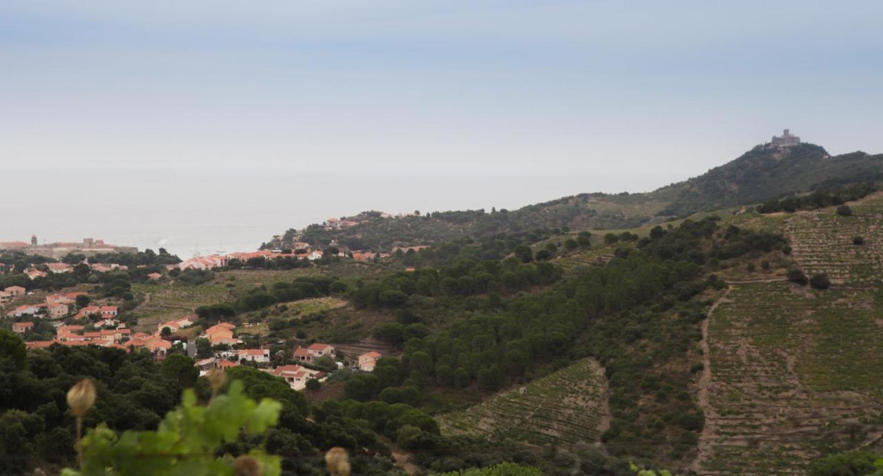 Gite Rez De Chaussee Entre Mer Et Montagne Collioure Eksteriør bilde