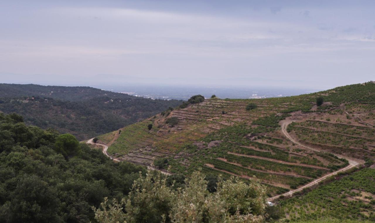 Gite Rez De Chaussee Entre Mer Et Montagne Collioure Eksteriør bilde