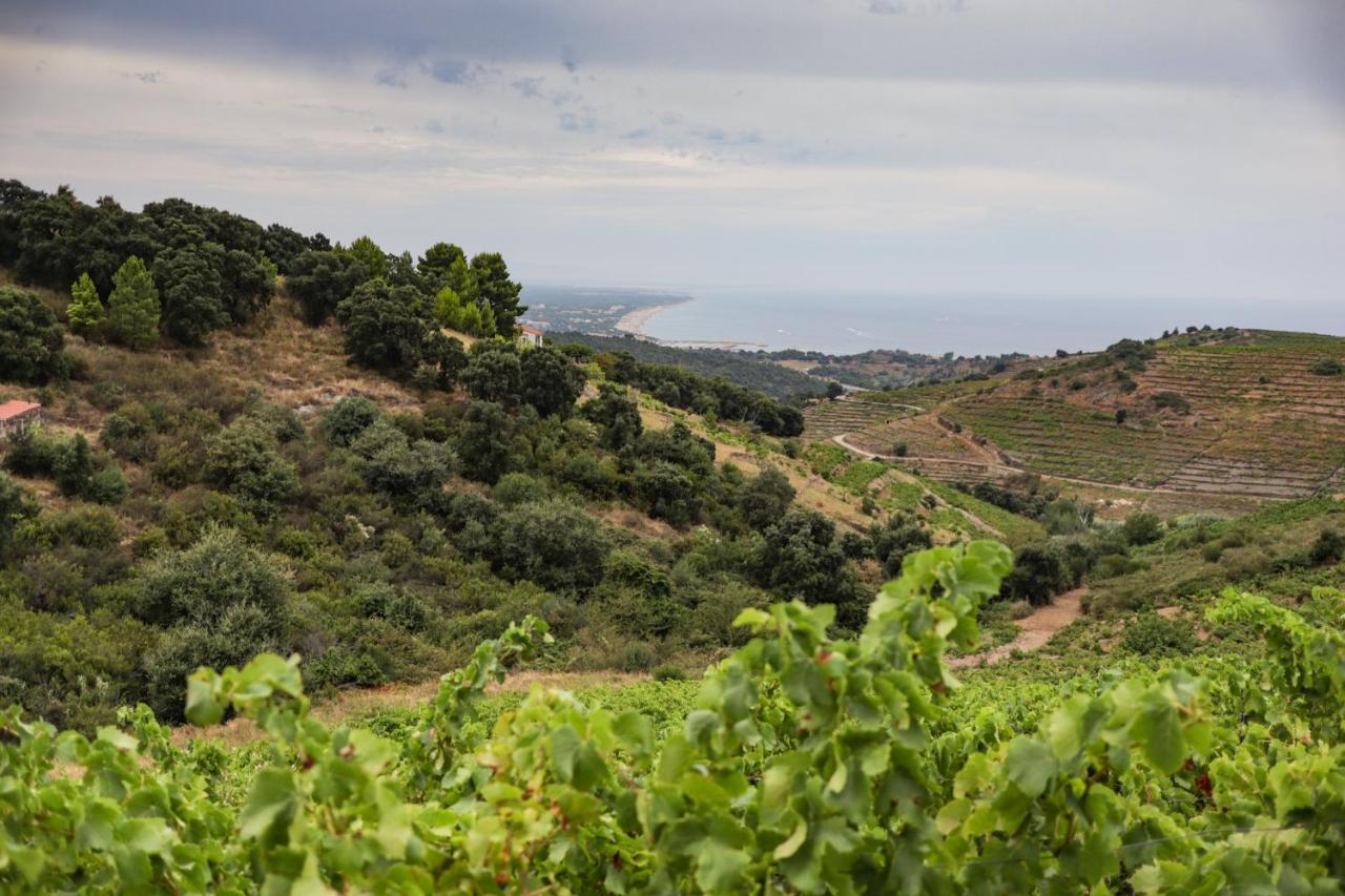 Gite Rez De Chaussee Entre Mer Et Montagne Collioure Eksteriør bilde