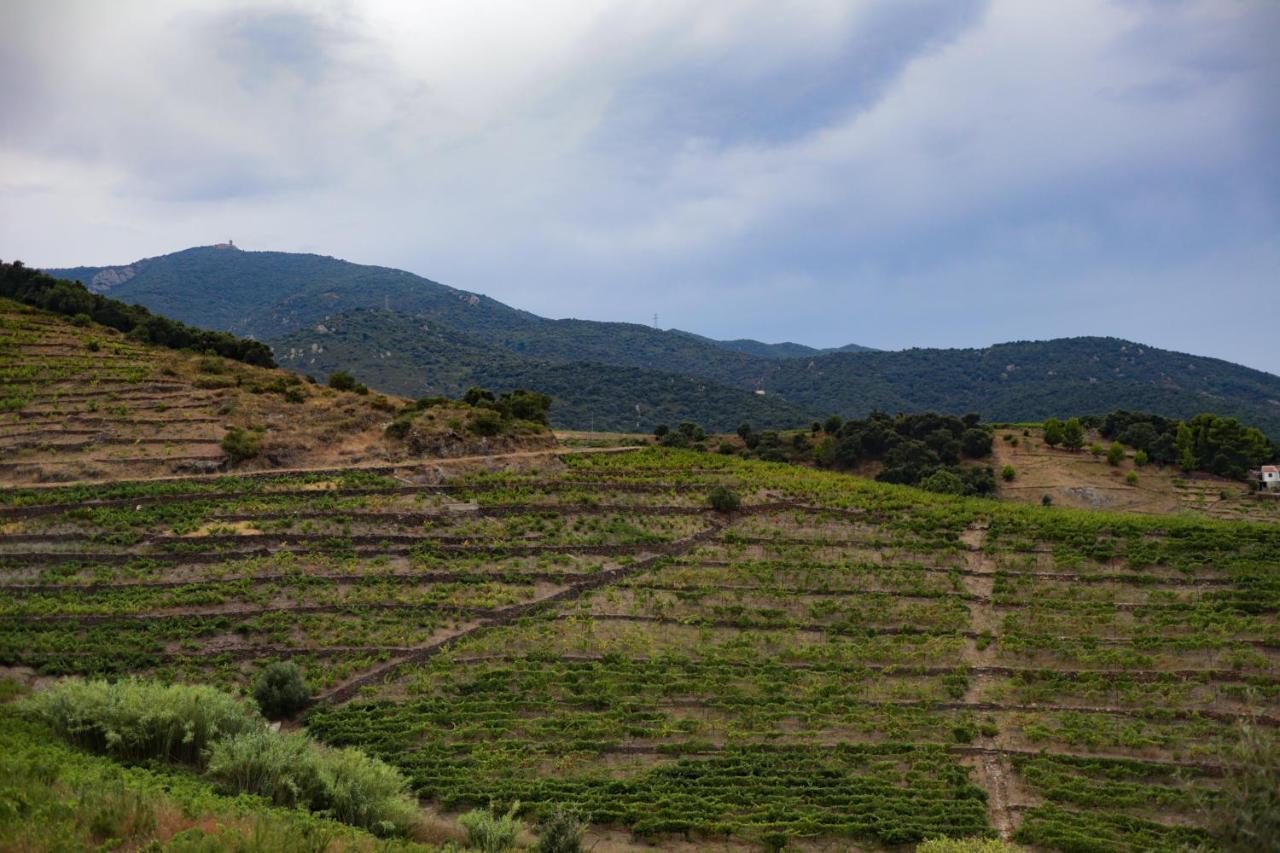 Gite Rez De Chaussee Entre Mer Et Montagne Collioure Eksteriør bilde